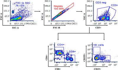 Metabolomic Profiling and Immunomodulatory Activity of a Polyherbal Combination in Cyclophosphamide-Induced Immunosuppressed Mice